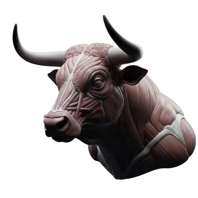 Imagen PNG para descargar